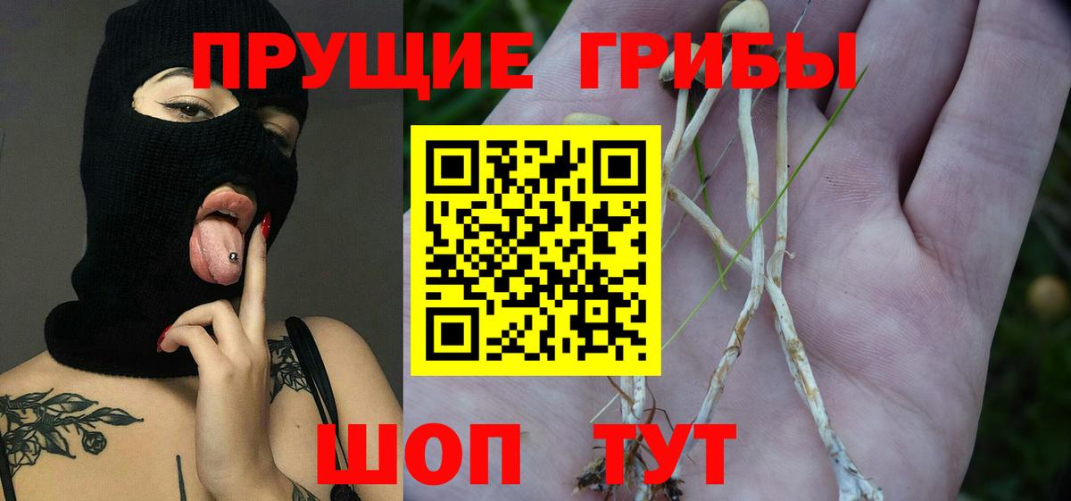 Галлюциногенные грибы ЛСД Сызрань